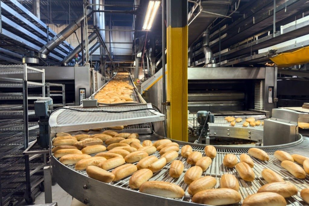 Conveyor belt full of freshly baked breads in a factory